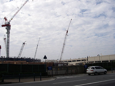 IMGP5559.jpg