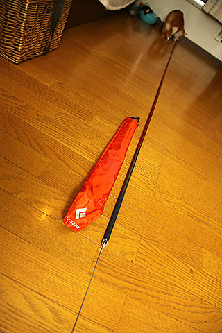 IMG_8003.jpg